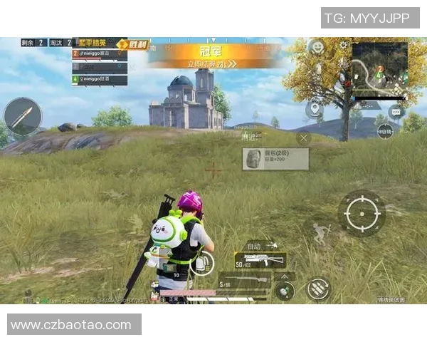 赵丽揭秘和平精英成功背后的秘密与发展策略实时数据